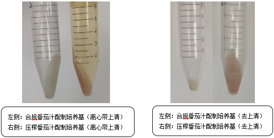 維生素檢測(cè)國(guó)標(biāo)法本底污染的原因分析 維生素檢測(cè)國(guó)標(biāo)法本底污染的原因分析