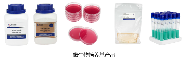 北京陸橋與您相約全國科普日 助力國家科技，守護(hù)“舌尖上的安全”