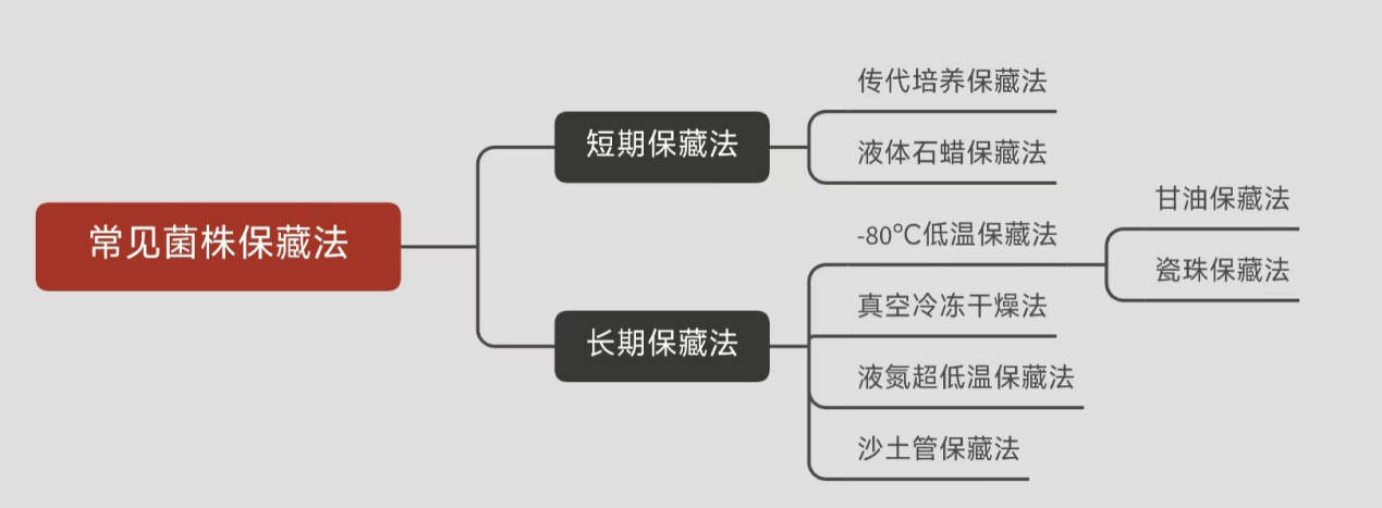 常見菌株保藏法的優(yōu)缺點(diǎn)對比 常見菌株保藏法的優(yōu)缺點(diǎn)對比