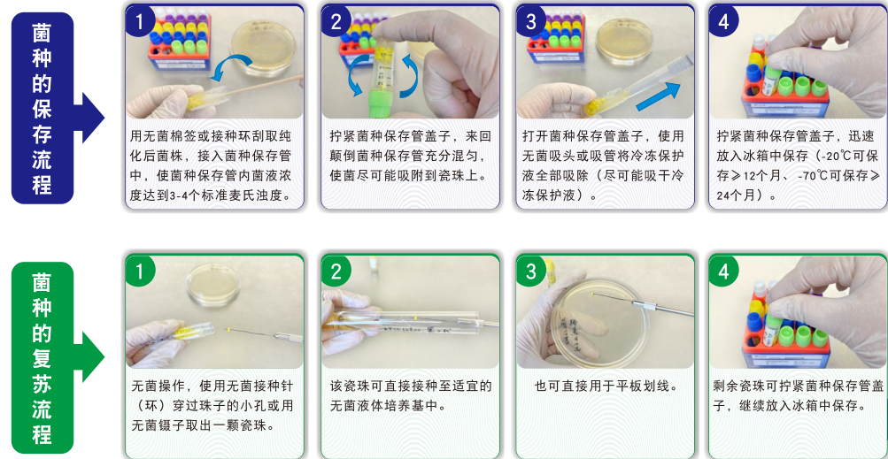 常見菌株保藏法的優(yōu)缺點(diǎn)對比 常見菌株保藏法的優(yōu)缺點(diǎn)對比