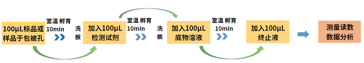 牛奶酪蛋白的檢測(cè) 牛奶酪蛋白的檢測(cè)